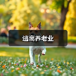 逃离养老业（图4）