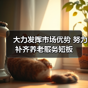 大力发挥市场优势 努力补齐养老服务短板（图1）