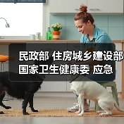 民政部 住房城乡建设部 国家卫生健康委 应急管理部 市场监管总局关于做好2020年养老院服务质量建设专项行动工作的通知（图4）