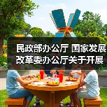 民政部办公厅 国家发展改革委办公厅关于开展公办养老机构改革试点工作总结 推广公办养老机构改革典型经验的通知（图2）