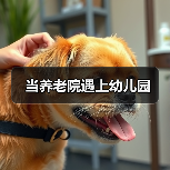 当养老院遇上幼儿园（图3）