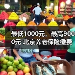 最低1000元，最高9000元 北京养老保险缴费标准维持不变（图4）