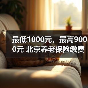 最低1000元，最高9000元 北京养老保险缴费标准维持不变（图1）