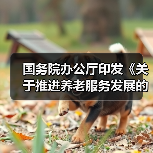 国务院办公厅印发《关于推进养老服务发展的意见》 养老服务失信惩戒机制6月底前建成（图2）