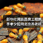 新华社民族品牌工程携手孝夕阳向北京养老机构赠阅《参考消息》（图4）