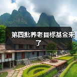 第四批养老目标基金来了（图3）