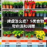 脾虚怎么吃？5类食物帮你温和调理（图1）