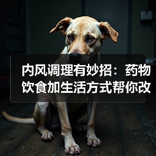 内风调理有妙招：药物饮食加生活方式帮你改善症状（图2）