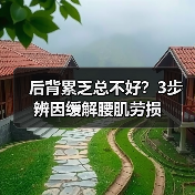 后背累乏总不好？3步辨因缓解腰肌劳损（图2）