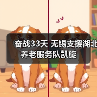 奋战33天 无锡支援湖北养老服务队凯旋（图4）