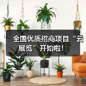 全国优质招商项目“云展览”开始啦！（图1）