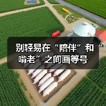 别轻易在“陪伴”和“啃老”之间画等号（图2）
