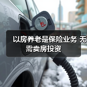 以房养老是保险业务 无需卖房投资（图4）