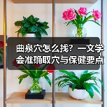 曲泉穴怎么找？一文学会准确取穴与保健要点（图1）