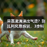 鼻塞流清涕出气烫？别乱判风寒感冒，3步科学鉴别+应对（图1）