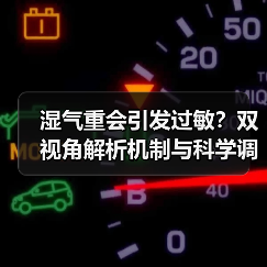 湿气重会引发过敏?双视角解析机制与科学调理指南(图3) 湿气重会引发过敏?双视角解析机制与科学调理指南(图3)