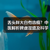舌头胖大白有齿痕？中医解析脾虚湿盛及科学调理方案（图2）
