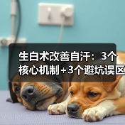 生白术改善自汗：3个核心机制+3个避坑误区+正确用法指南（图1）