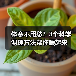 体寒不用愁?3个科学调理方法帮你暖起来(图3) 体寒不用愁?3个科学调理方法帮你暖起来(图3)