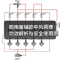 胆南星辅助中风调理：功效解析与安全使用原则（图3）