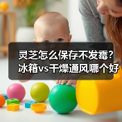 灵芝怎么保存不发霉？冰箱vs干燥通风哪个好？（图3）
