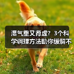 湿气重又肾虚?3个科学调理方法助你缓解不适(图2) 湿气重又肾虚?3个科学调理方法助你缓解不适(图2)