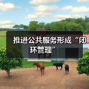 推进公共服务形成“闭环管理”（图4）