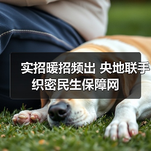 实招暖招频出 央地联手织密民生保障网（图1）