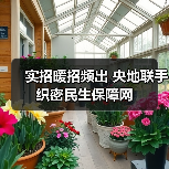 实招暖招频出 央地联手织密民生保障网（图4）