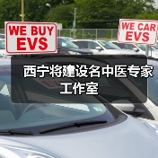 西宁将建设名中医专家工作室（图3）