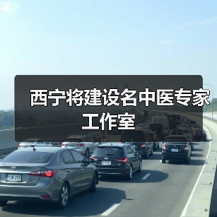 西宁将建设名中医专家工作室（图2）