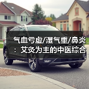 气血亏虚/湿气重/鼻炎：艾灸为主的中医综合调理指南（图1）