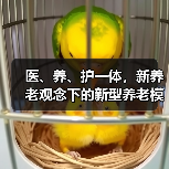 医、养、护一体，新养老观念下的新型养老模式受欢迎——“夕阳红”带旺朝阳产业（图3）
