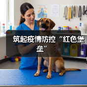 筑起疫情防控“红色堡垒”（图3）