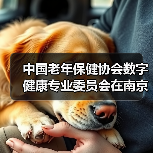 中国老年保健协会数字健康专业委员会在南京成立（图4）