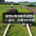益肾补骨液调肾虚腰痛？成分、适用与科学建议（图3）