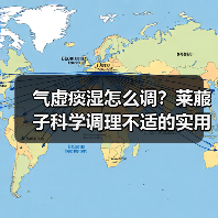 气虚痰湿怎么调？莱菔子科学调理不适的实用指南（图4）
