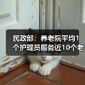 民政部：养老院平均1个护理员服务近10个老人（图4）