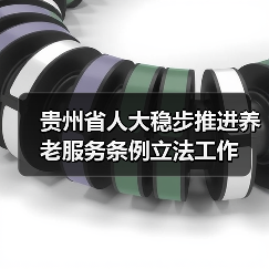 贵州省人大稳步推进养老服务条例立法工作（图3）