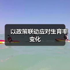 以政策联动应对生育率变化（图1）
