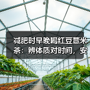 减肥时早晚喝红豆薏米茶：辨体质对时间，安全辅助祛湿减重（图1）