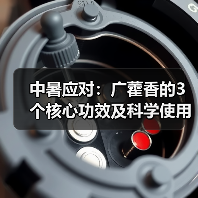 中暑应对：广藿香的3个核心功效及科学使用指南（图3）