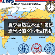 夏季暑热症不适？冬瓜薏米汤的3个调理作用助你轻松度夏（图3）