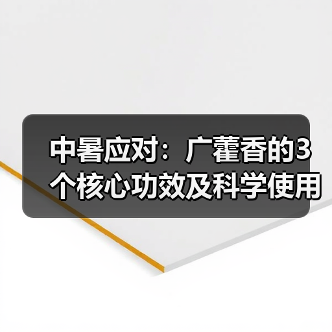 中暑应对：广藿香的3个核心功效及科学使用指南（图4）