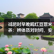 减肥时早晚喝红豆薏米茶：辨体质对时间，安全辅助祛湿减重（图4）