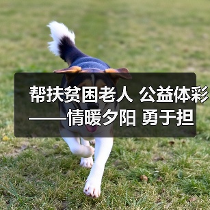 帮扶贫困老人 公益体彩——情暖夕阳 勇于担当（图4）