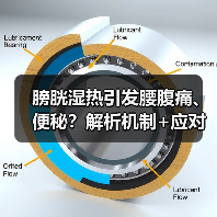 膀胱湿热引发腰腹痛、便秘?解析机制+应对建议帮你科学调理(图1) 膀胱湿热引发腰腹痛、便秘?解析机制+应对建议帮你科学调理(图1)