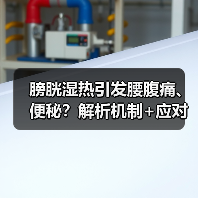 膀胱湿热引发腰腹痛、便秘?解析机制+应对建议帮你科学调理(图2) 膀胱湿热引发腰腹痛、便秘?解析机制+应对建议帮你科学调理(图2)