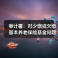 审计署：对少缴或欠缴基本养老保险基金问题，整改不宜一刀切（图2）