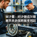 审计署：对少缴或欠缴基本养老保险基金问题，整改不宜一刀切（图3）